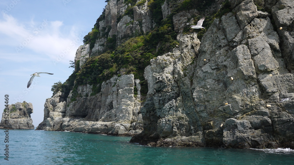 Fototapeta premium P1080533