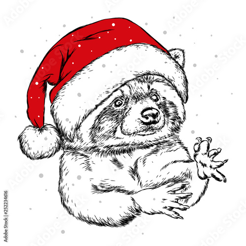 The christmas poster with the image raccoon portrait in Santa's hat. Hand draw vector illustration. Hipster animal.