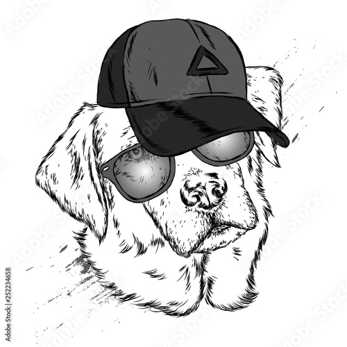 Cute Dog in cap and glasses. Vector illustration. 