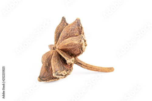 One whole dry brown star anise fruit like a flower isolated on white background photo