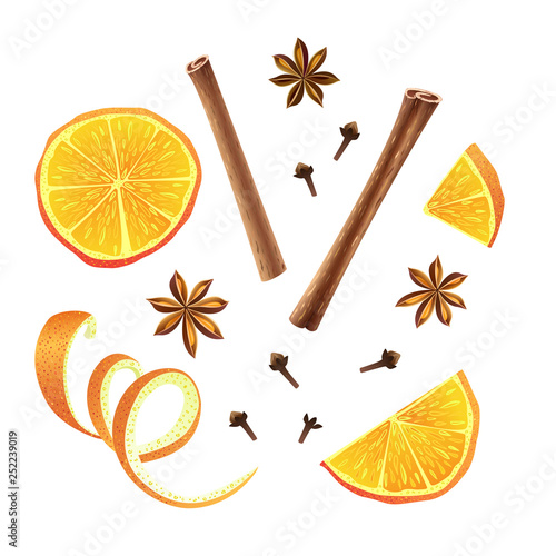Set of orange, star anise, cloves and cinnamon