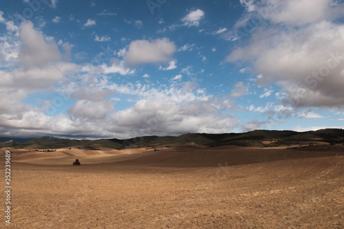 Fields and clouds