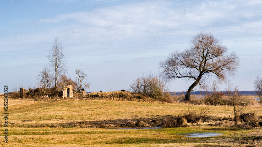 Biebrzanski Park Narodowy. Wiosna nad Biebrza. Rozlewiska Biwbrzy