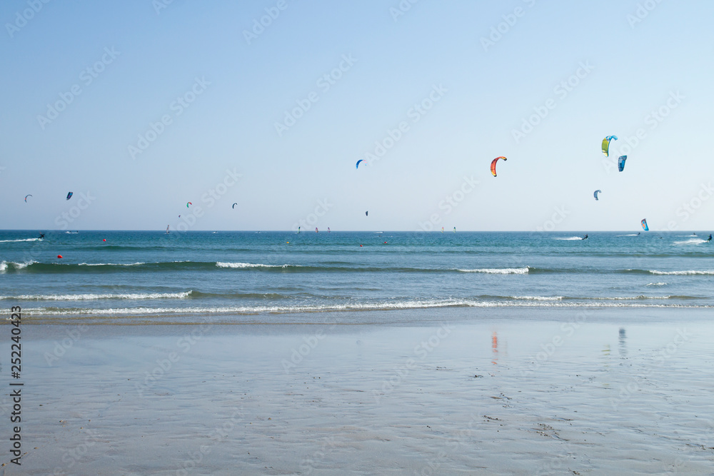 Kites on the beach