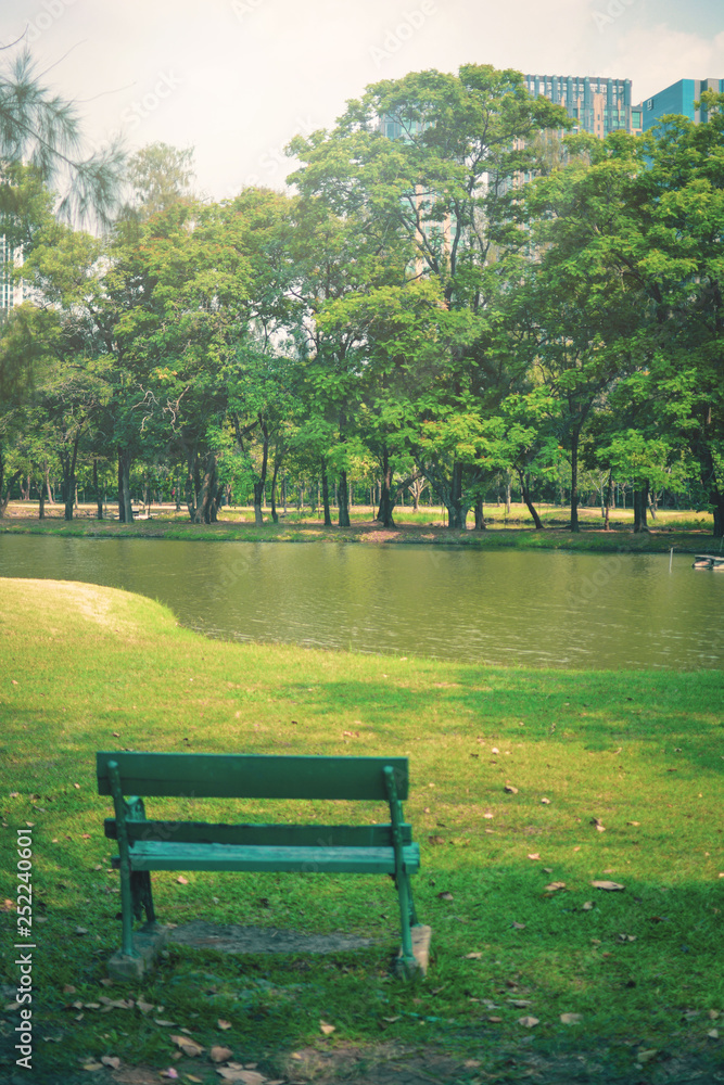 Green wooden bench in public park with lake and trees background.Park in city and sky background.Summer with nature landscape