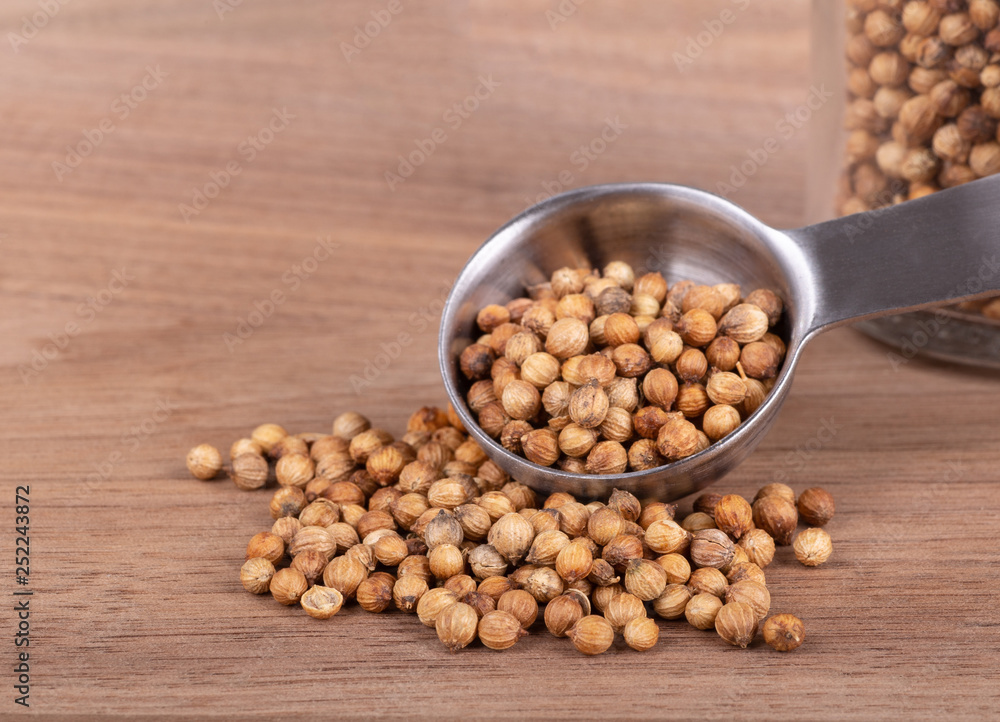Closeup of a Measuring Spoonful of Coriander Closeup of a Measuring Spoonful of Coriander