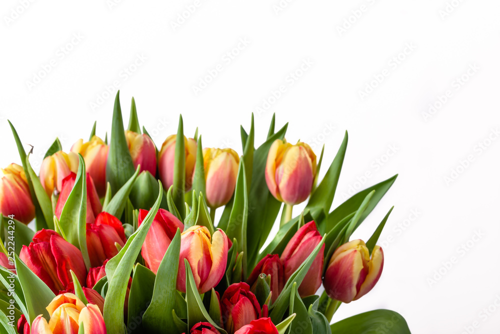 Bouquet of tulips isolated on white background, spring easter flowers, mothers day card Bouquet of tulips isolated on white background, spring easter flowers, mothers day card