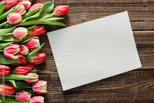 Fototapeta Naklejka Na Ścianę i Meble -  Blank greeting card with tulips, spring easter background or mothers day card