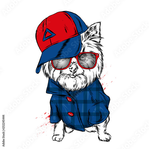 Cute Dog in cap and glasses. Vector illustration.  © Marharyta