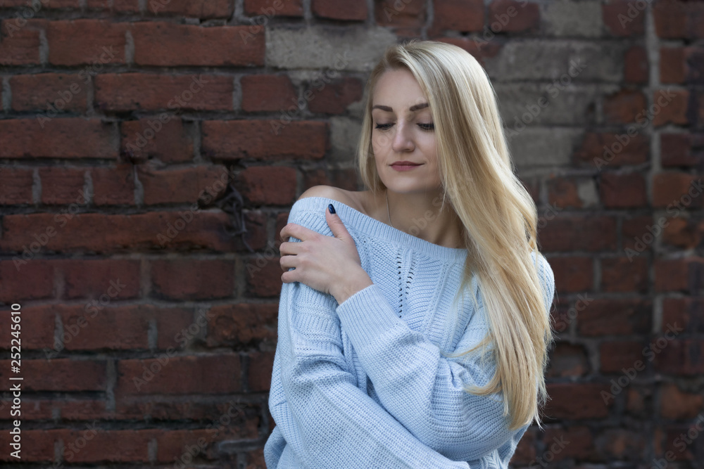 Beautiful young girl, blonde with long hair on a brick wall background. Beautiful young girl, blonde with long hair on a brick wall background.