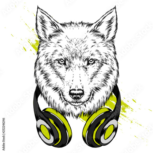 Wolf hipster in the headphones. Pretty dog. Vector illustration for postcard, print on clothes. Fashion & Style. 