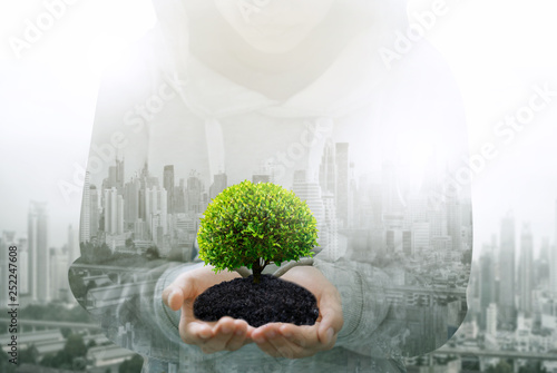 world environment day concept.Ecology concept hands holding plant a plant sapling with on ground 