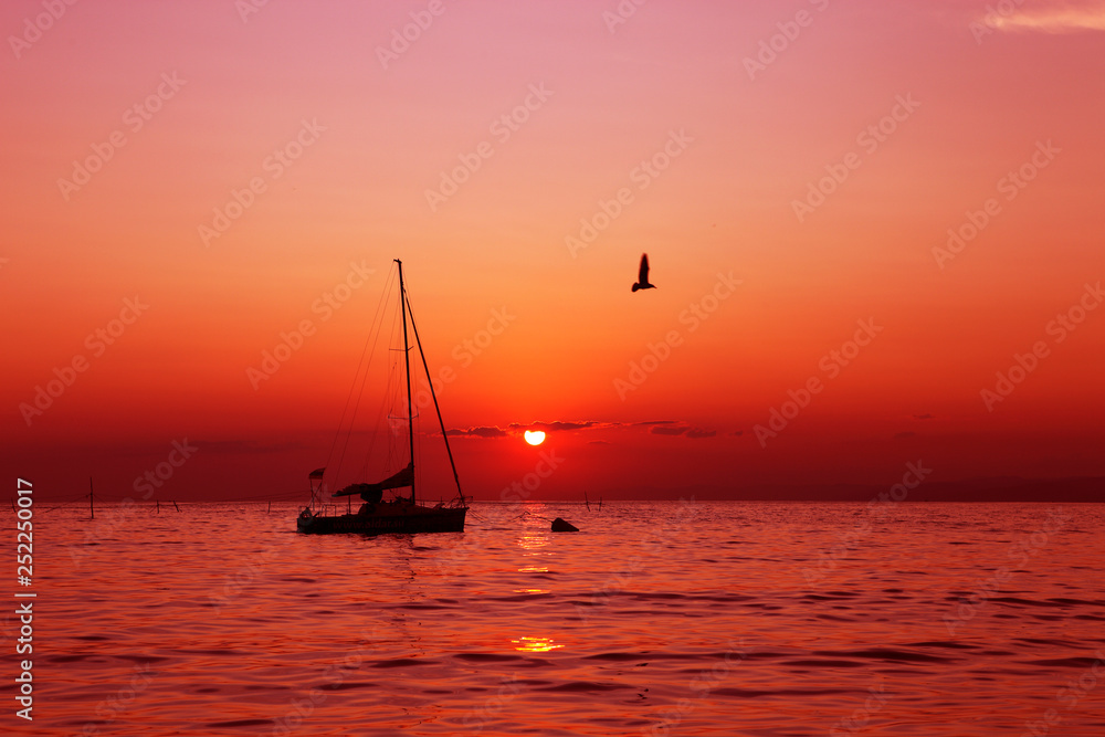 yacht and Seagull on the red sea at sunset
