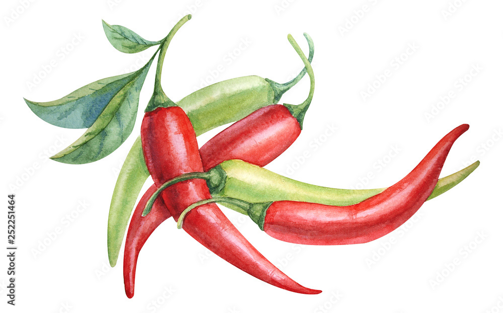 watercolor red and green chili pepper - obrazy, fototapety, plakaty 