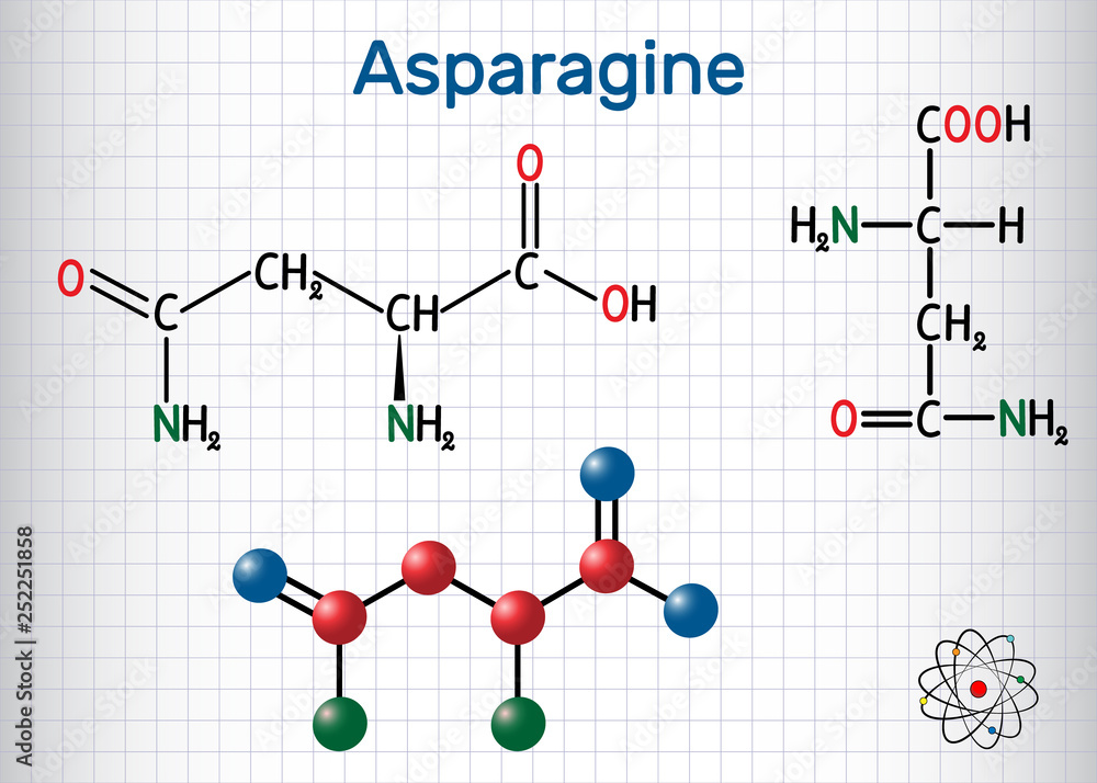 Asparagine (L-asparagine , Asn, N) amino acid molecule. It is is used in the biosynthesis of proteins. Sheet of paper in a cage. Structural chemical formula and molecule model Asparagine (L-asparagine , Asn, N) amino acid molecule. It is is used in the biosynthesis of proteins. Sheet of paper in a cage. Structural chemical formula and molecule model