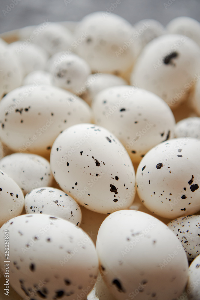 Close up composition of white traditional chicken and quail, black dotted Easter eggs Close up composition of white traditional chicken and quail, black dotted Easter eggs
