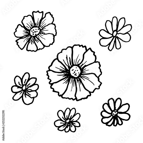 Doodle flowers set in beautiful style. Flat illustration design.