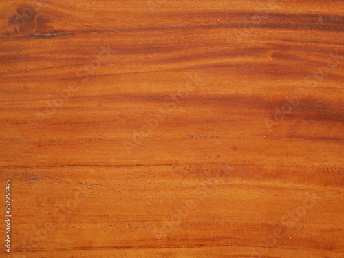 Wallpaper Mural wood texture background Torontodigital.ca