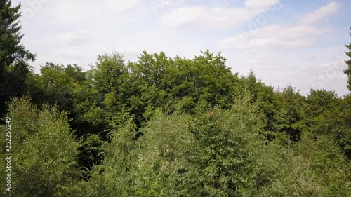 Teutoburger Wald Aufstieg