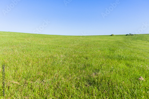 Grass Green Field Hillside Trees Blue Sky Fencing Equestrian Summer No People Landscape