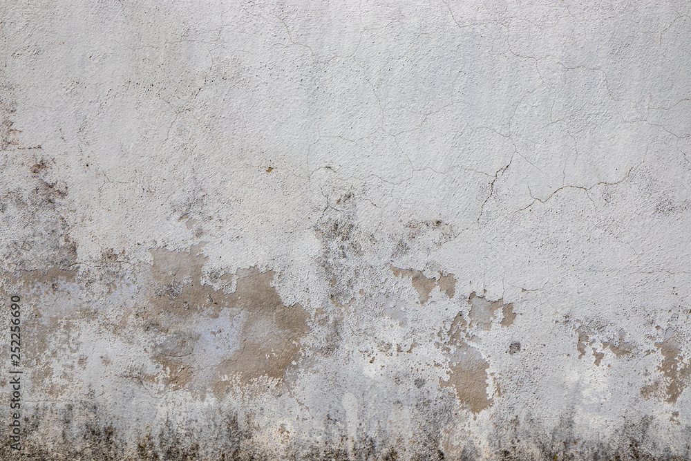 Fototapeta premium Gray wall ruined by time, bad weather and humidity. Cracks, mold, peeling paint and plaster. Texture, material background.