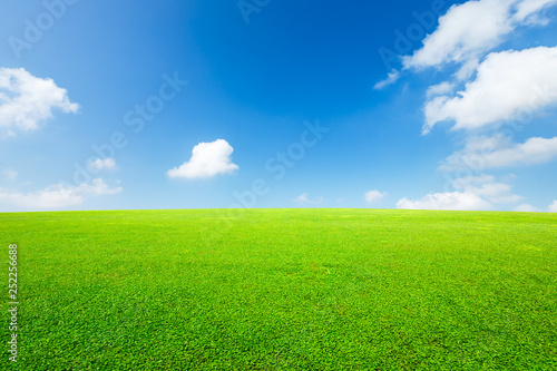 Green grass and blue sky with white clouds photo