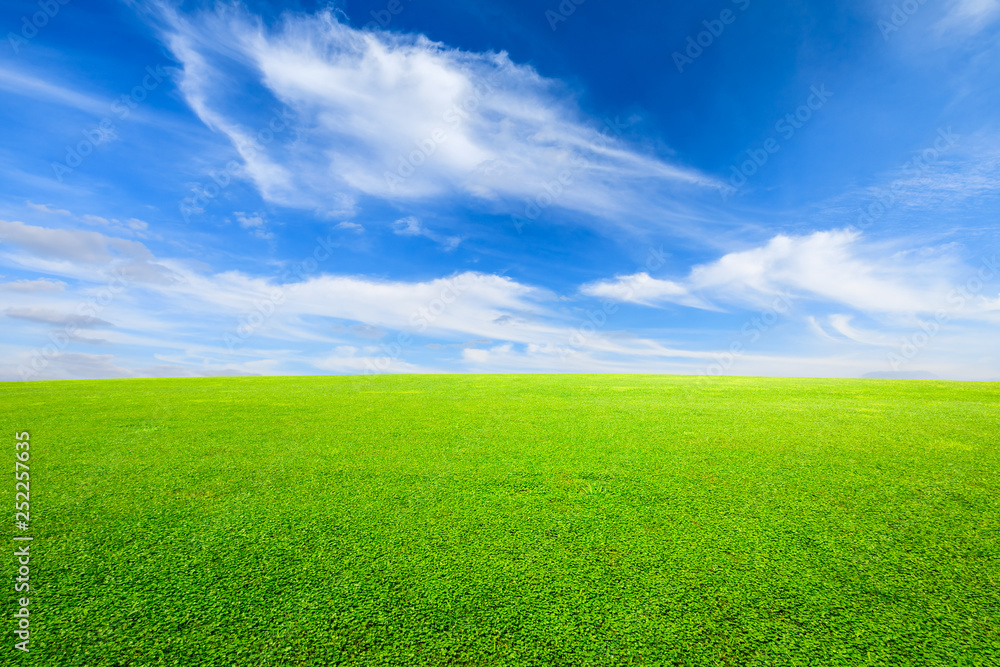 Green grass and blue sky with white clouds Green grass and blue sky with white clouds