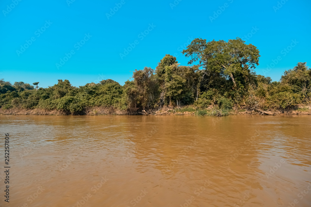 River landscape and jungle,Pantanal, Brazil River landscape and jungle,Pantanal, Brazil