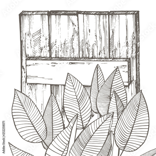 Composition this wood texture and tropical palm leaves, graphic illustration. Graphic hand drawn painted illustration.