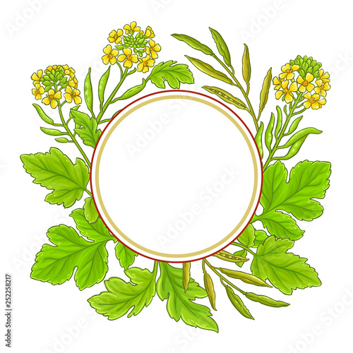 mustard vector frame