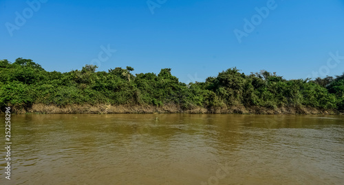 River landscape and jungle,Pantanal, Brazil
