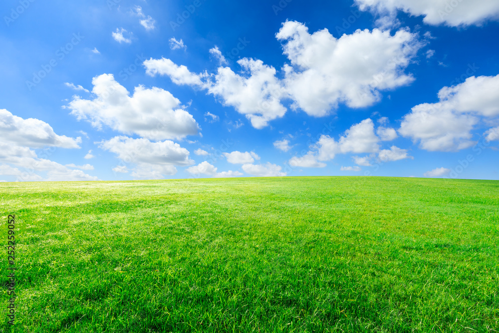 Green Grass And Blue Sky With White Clouds Stock Photo Adobe Stock