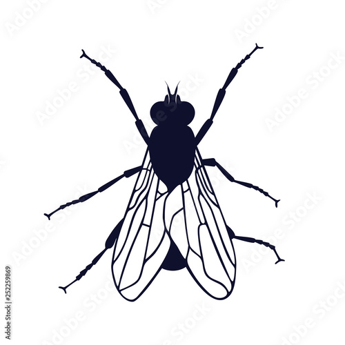 Fly icon. Fly graphic symbol isolated on white background. Vector illustration