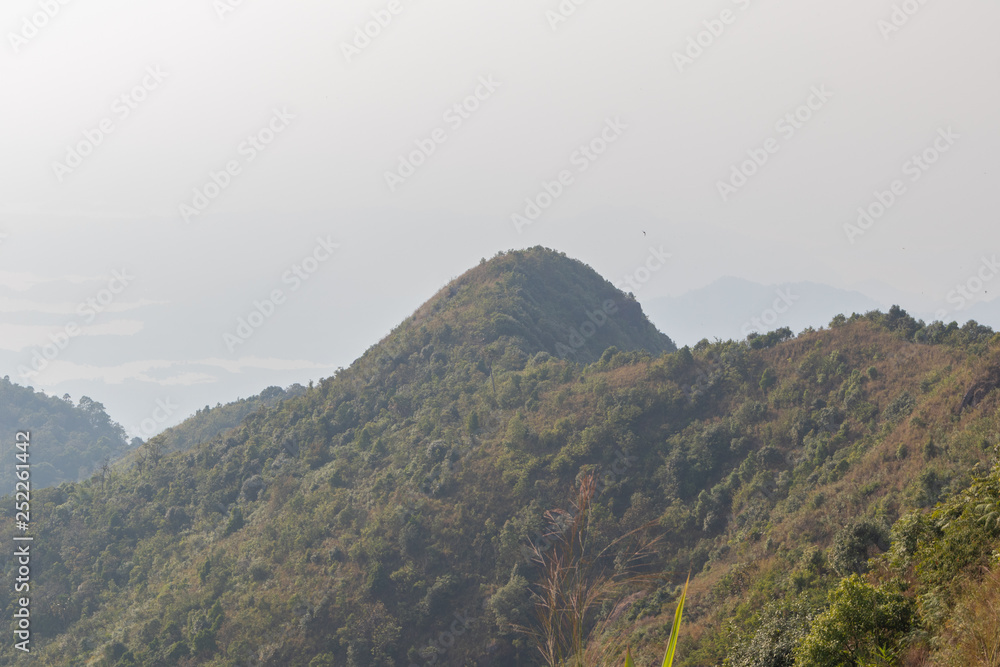 beautiful scene mountain and tree at thong pha phum national park, kanjanaburi, Thailand