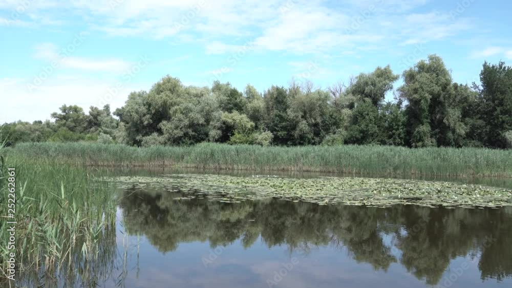 Picturesque panorama of wild lake with water lilies in sunny day Picturesque panorama of wild lake with water lilies in sunny day