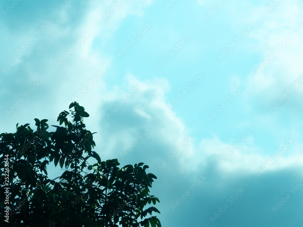 Cloud trees on sky background