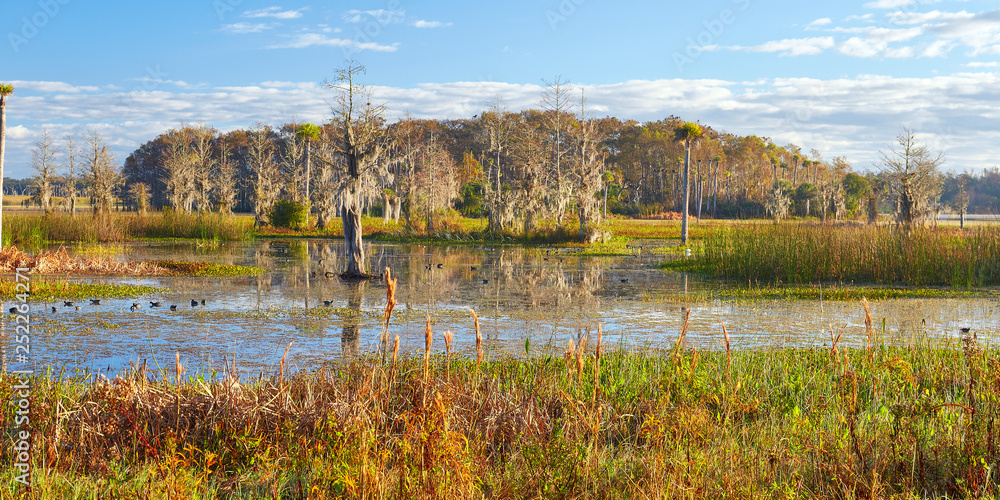 Early morning view at Orlando Wetlands Park in Orange County, Florida Early morning view at Orlando Wetlands Park in Orange County, Florida