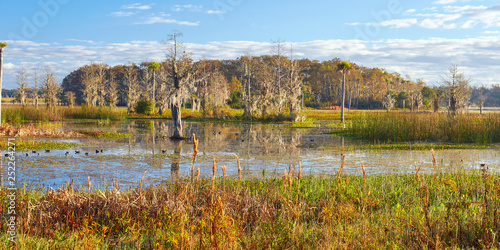 Early morning view at Orlando Wetlands Park in Orange County, Florida