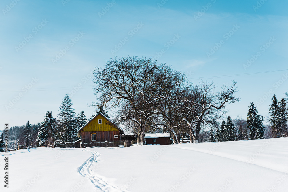 small village in carpathian mountains near forest with traces on snow