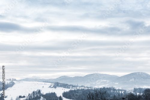 landscape of carpathian mountains covered with snow with cloudy sky and trees