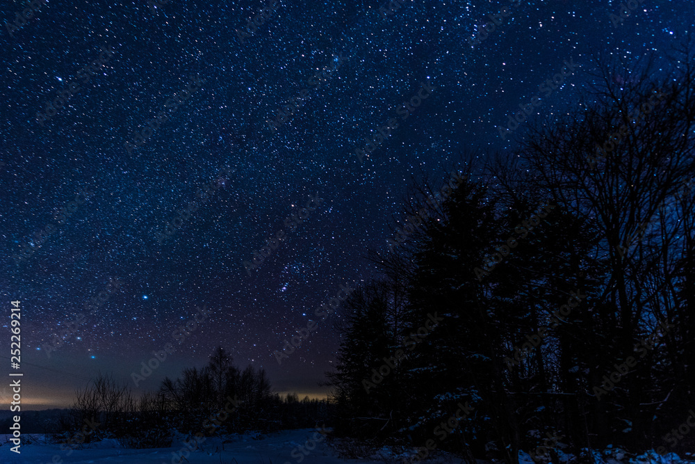 Starry dark sky and trees in Carpathian mountains at night in winter Starry dark sky and trees in Carpathian mountains at night in winter