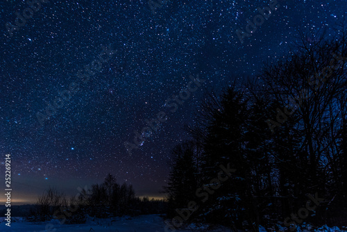 Starry dark sky and trees in Carpathian mountains at night in winter