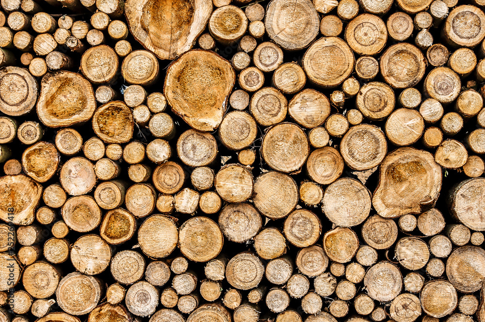 stacked wood logs. - obrazy, fototapety, plakaty 