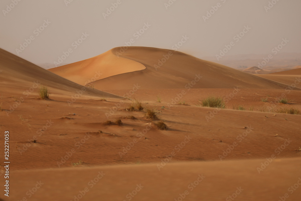 desert sand dunes background 