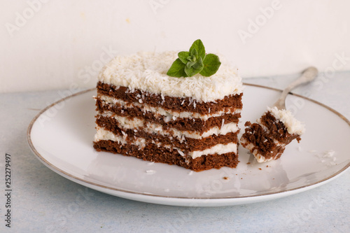 Chocolate cake with white cream and shredded coconut