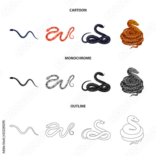 Vector illustration of mammal and danger symbol. Set of mammal and medicine stock symbol for web.