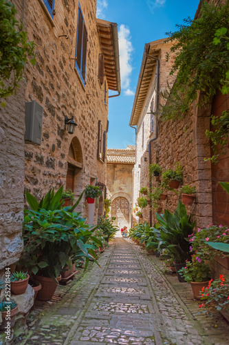 Fototapeta Naklejka Na Ścianę i Meble -  Coloured alleyway. Spello. Umbria.