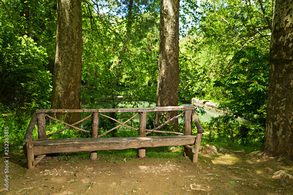 Bosque con banco de madera.