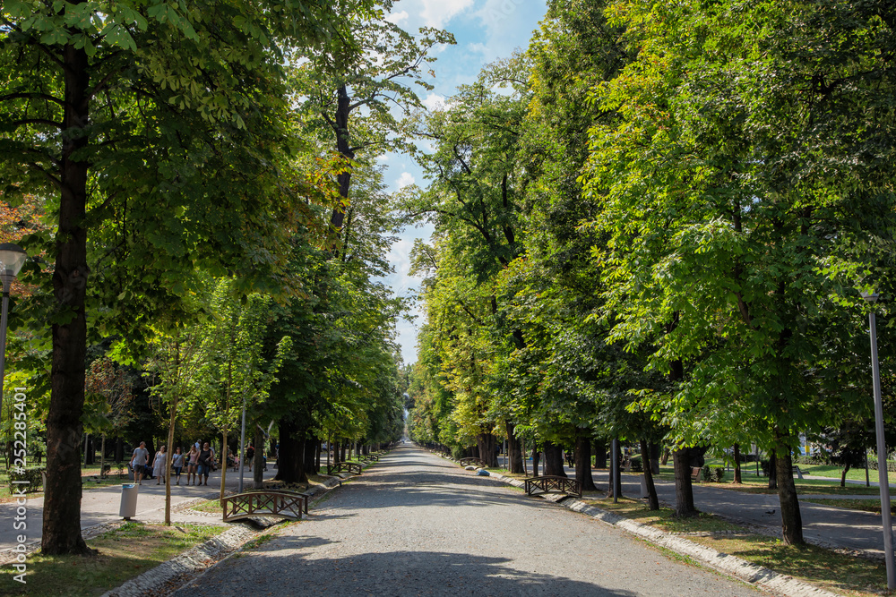 Central Park, Image on August 21, 2018 in  Cluj-Napoca.