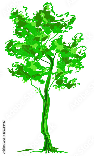 Deciduous tree sketch. Green contour isolated on white background. Simple art. Can be used for card banner template. Raster copy illustration.